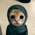 Amira